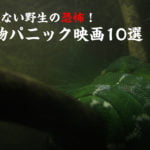 容赦ない野生の恐怖!動物パニック映画10選