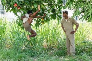 W杯がさらに面白くなる？今こそ見るべきサッカー映画6選