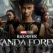 『ブラックパンサー:ワカンダ・フォーエバー』の公開日はいつ?